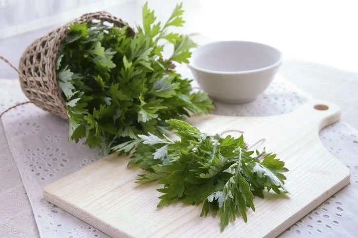 Không chỉ dừng lại ở một loại rau hay vị thuốc trong các món ăn bồi bổ, ngải cứu đã trở thành thành phần chủ chốt trong các dòng mỹ phẩm chăm sóc da.