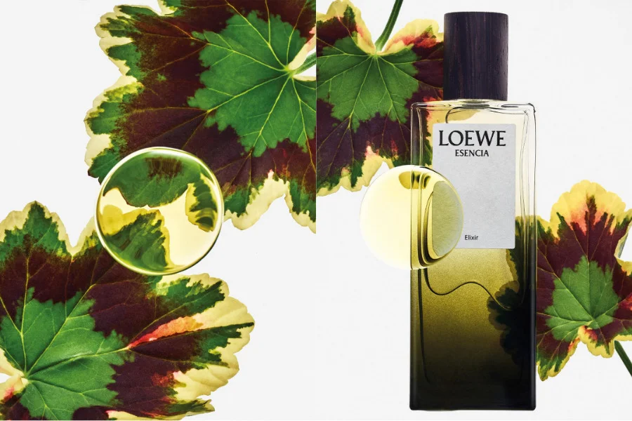 loewe-esencia-ba-phien-ban--mot-ban-sac-nam-tinh-vuot-thoi-gian_6a66fc3a5f303.png?md5=_JJj5gpdvaQmPIrL92qf5w&%3Bexpires=1785148538&expires=1785157158