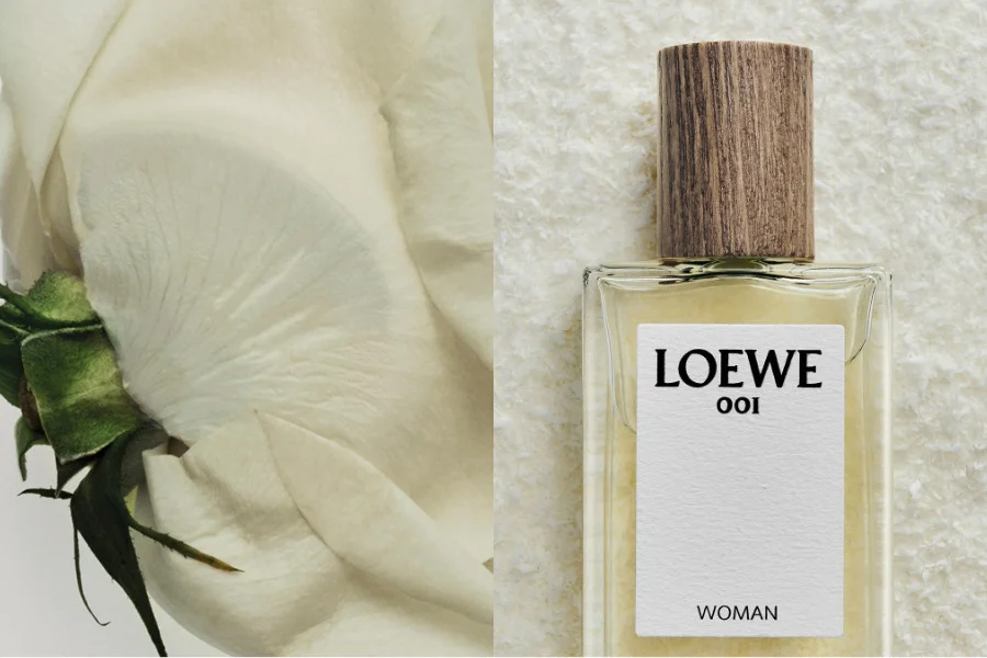 loewe-001--khi-mot-khoi-dau-tro-thanh-bieu-tuong_6a7c2ec974901.png?md5=Sy4xUevYASICInl7DRccbA&%3B%3Bexpires=1786537737&%3Bexpires=1786701213&expires=1786701277